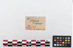 Etiketten zu Humerus (NHMW-PRAE-023689b)
